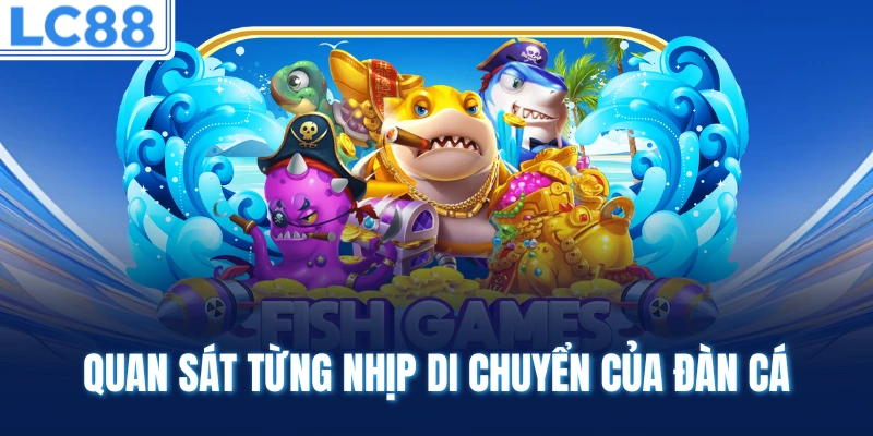 Quan sát từng nhịp di chuyển của đàn cá